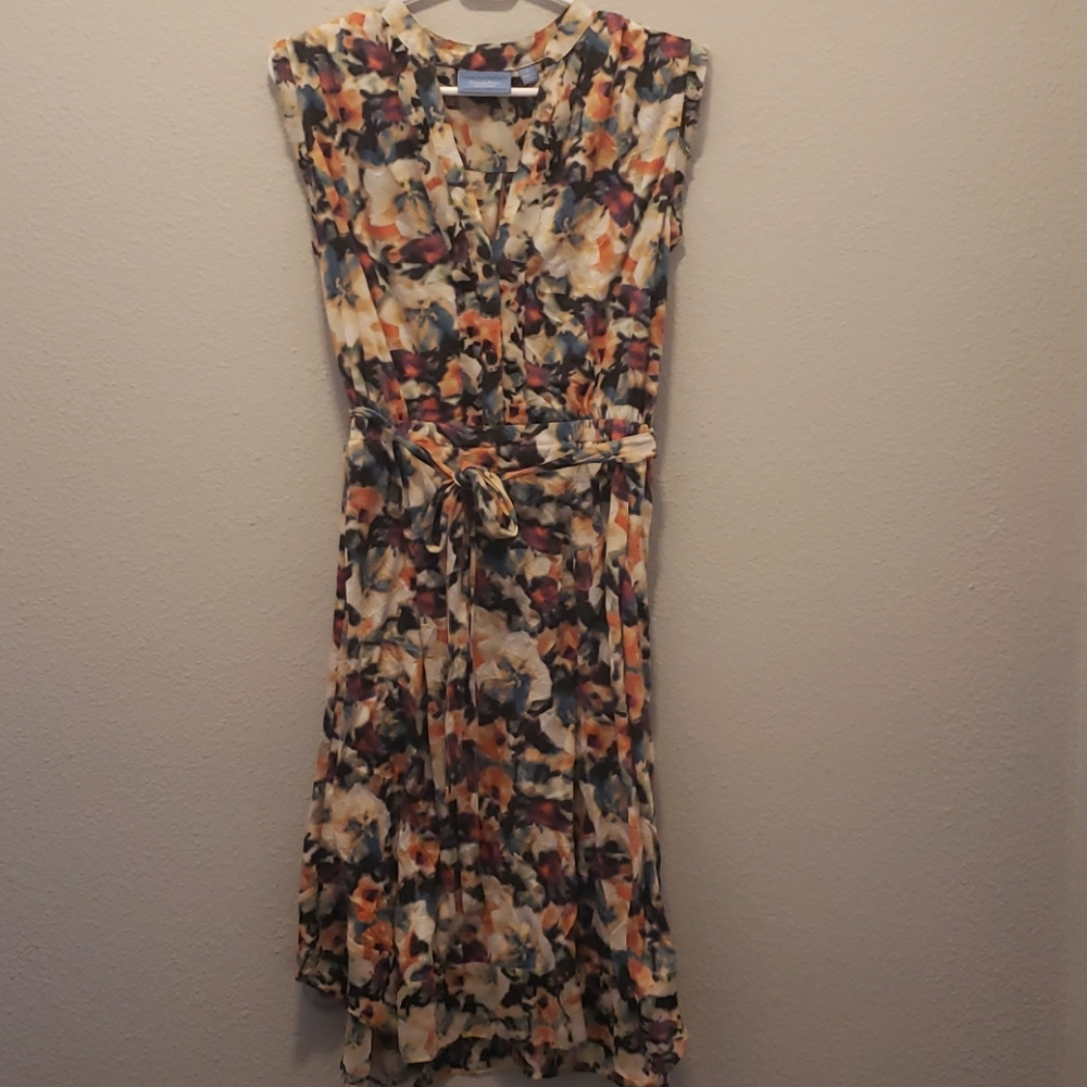 Ladies dress size Large
